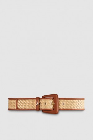 Brown Patrizia Pepe High Waist Fabric Belt | BIN051823