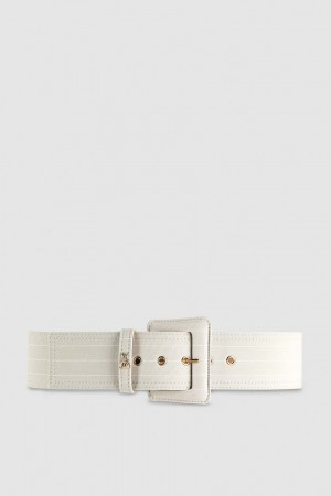 Grey Patrizia Pepe High Waist Fabric Belt | XMU918452