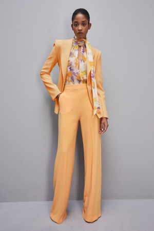 Orange Patrizia Pepe Sablè Crepe Palazzo Pants | AMC318275