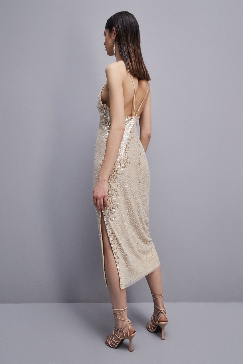 Beige Patrizia Pepe Hand-embroidered Tulle Dress | FUO973014